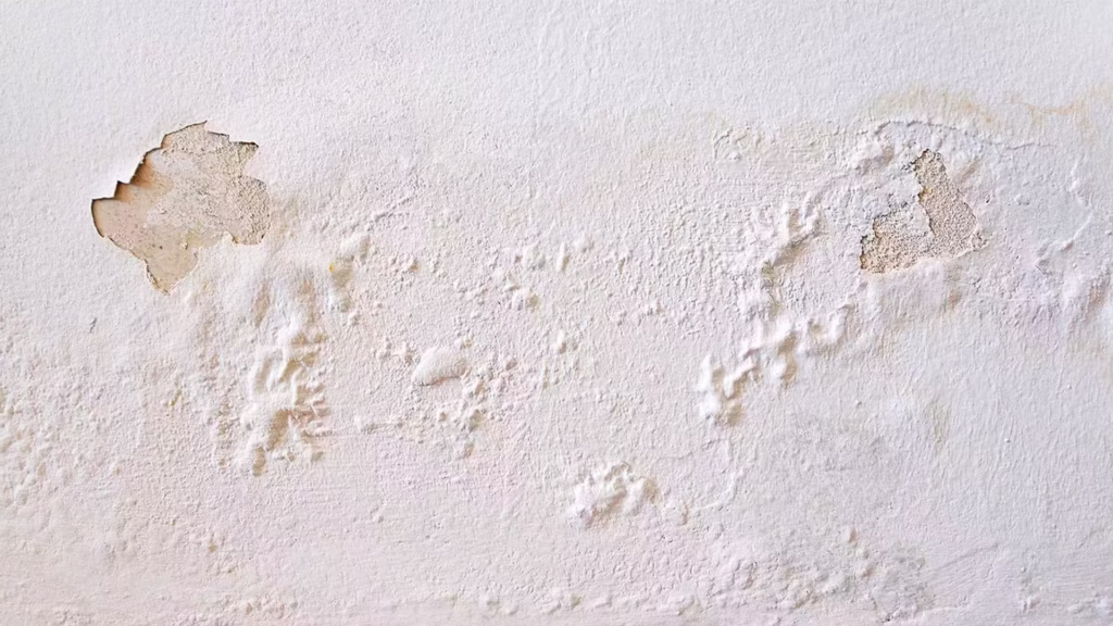 Doorslaand vocht verhelpen