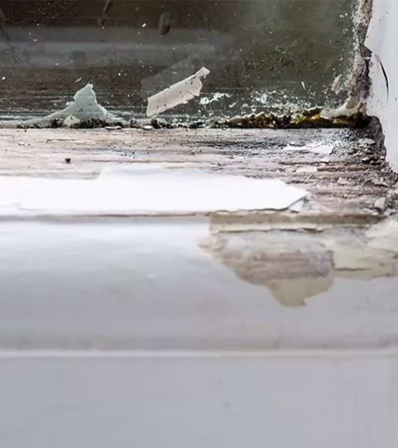 Gevolgen schimmel in huis