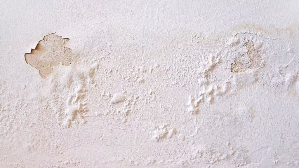 Optrekkend vocht gevolgen