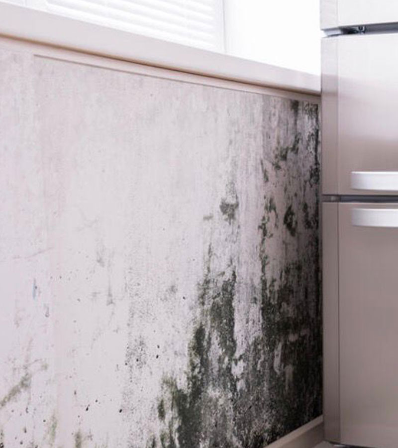 Verwijderen van schimmel