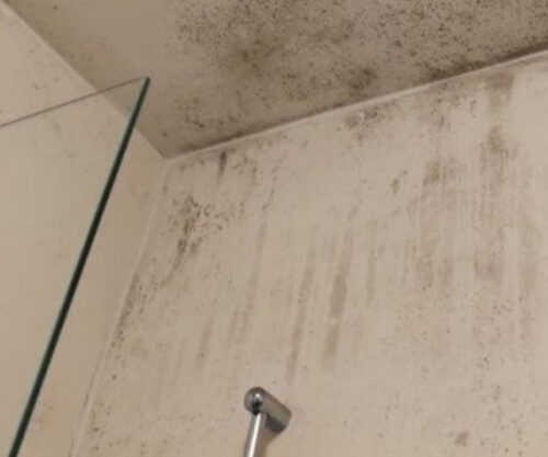 Vochtproblemen in de badkamer