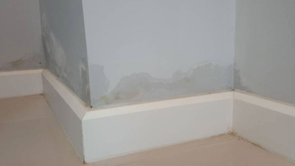 vochtproblemen in woonkamer