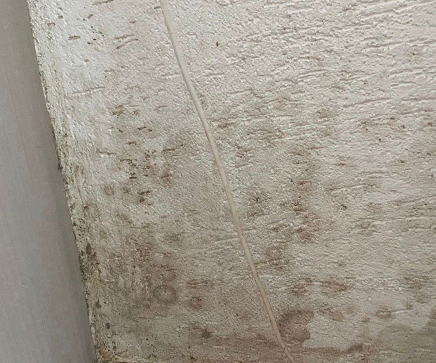 Voorkom schade door schimmel