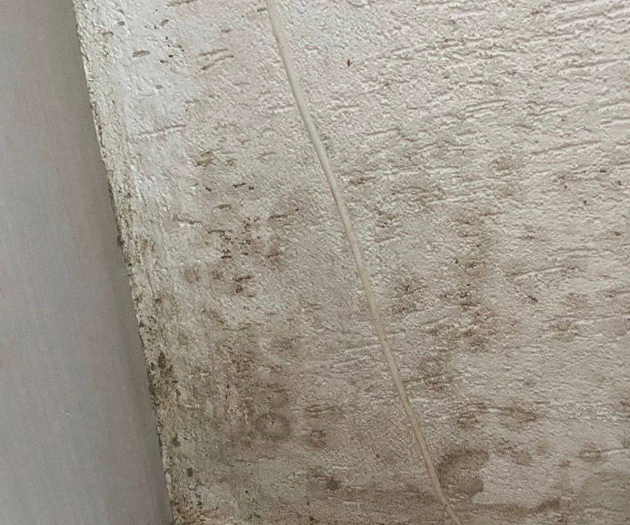 Waarom schimmel in huis