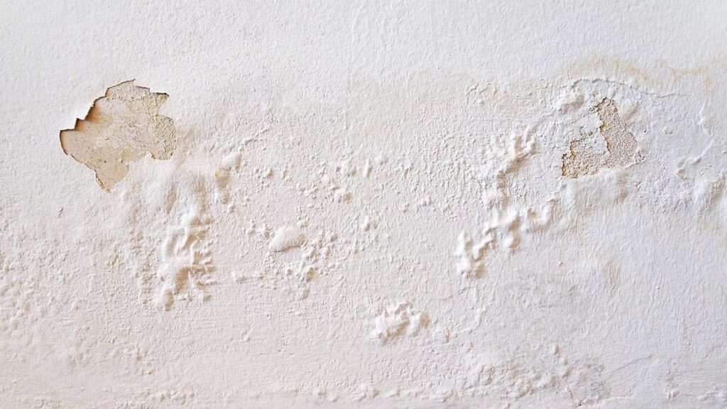 Vochtproblemen in Venlo