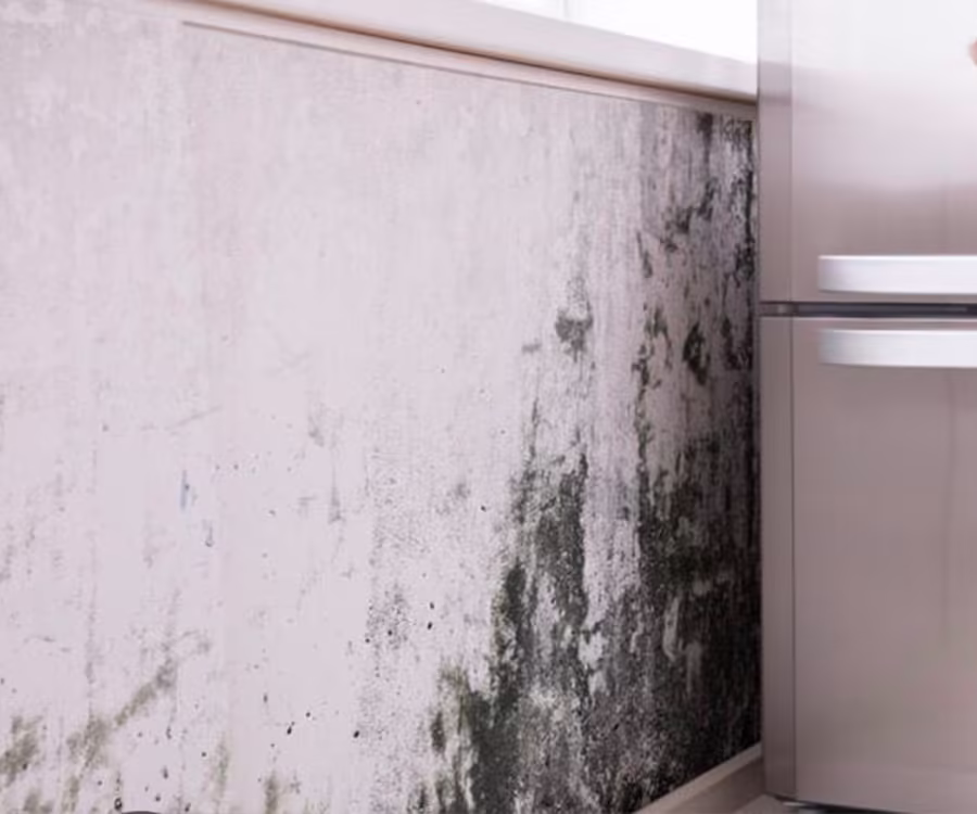 Woning in Venlo controleren op vochtproblemen