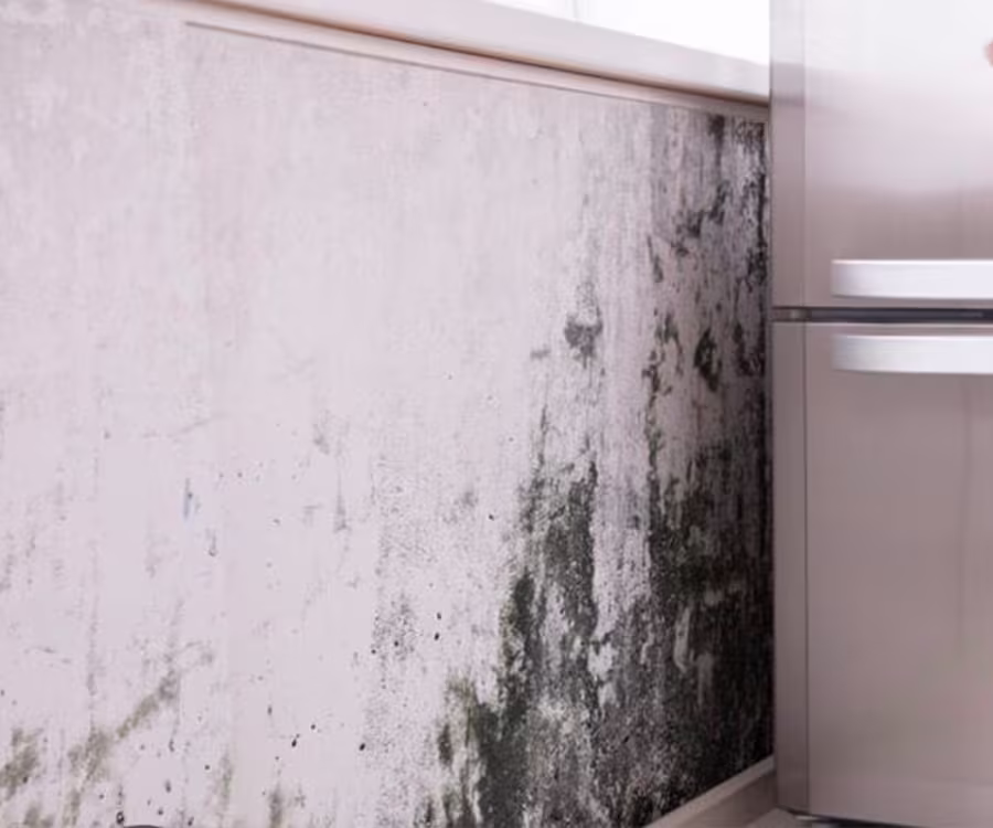 Woning in Zeeland controleren op vochtproblemen